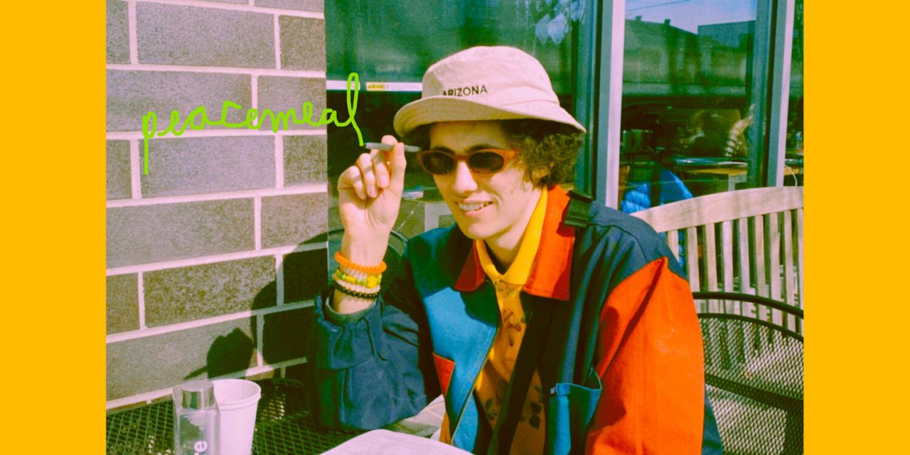 Finding Happiness in Lockdown: Review of Ron Gallo’s Peacemeal