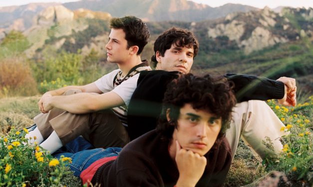 Wallows Sophomore Album: Tell Me That It’s Over