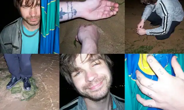 Charts and Adds for the week of 2/03/2026