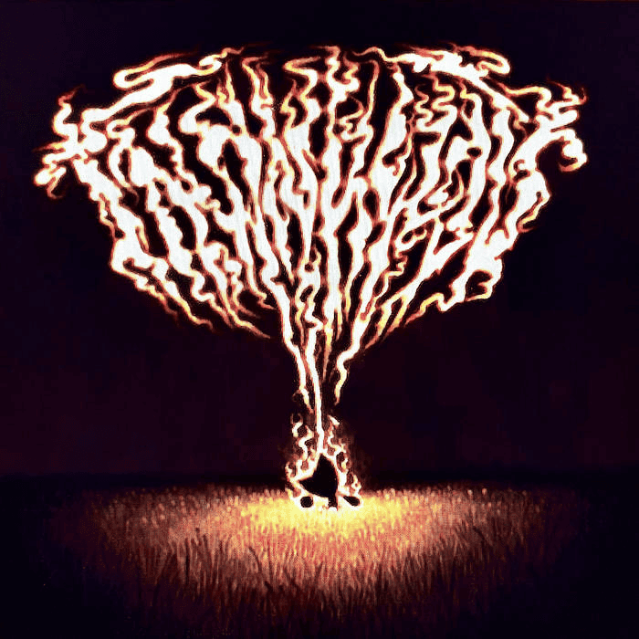 The word Femtanyl in a metal like font, but as fire above a field.
