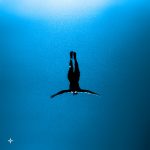 Charts and Adds for the week of 3/27/2026