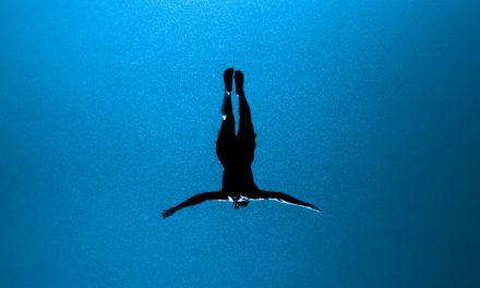 Charts and Adds for the week of 3/27/2026