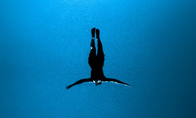 Charts and Adds for the week of 3/27/2026