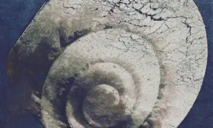 Charts and Adds for the week of 4/03/2026